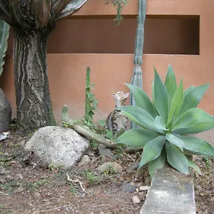Via Dei Gerani Bed & Breakfast